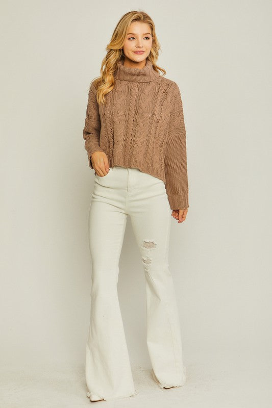 Turtle Neck Cable Knit Sweater